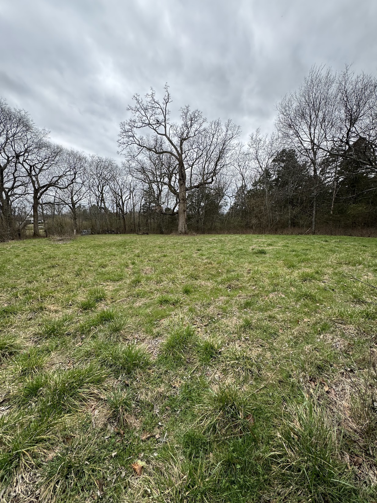 183 Rutledge Ln. Lebanon, TN 37087 - Photo 15 of 23 Gallery Image 15