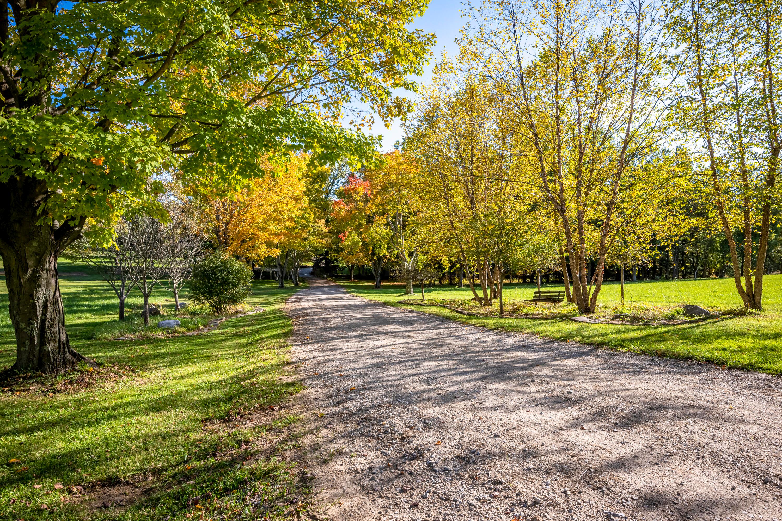 1226 Hathaway Road Bellville, OH 44813 - Photo 4 of 55 Tree-lined driveway