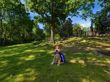 $2,499,900 | 9429 Weatherly Drive, Brentwood, TN 37027