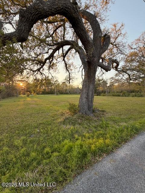 Gulf Stream Road Biloxi, MS 39532 - Photo 9 of 9 IMG_1850