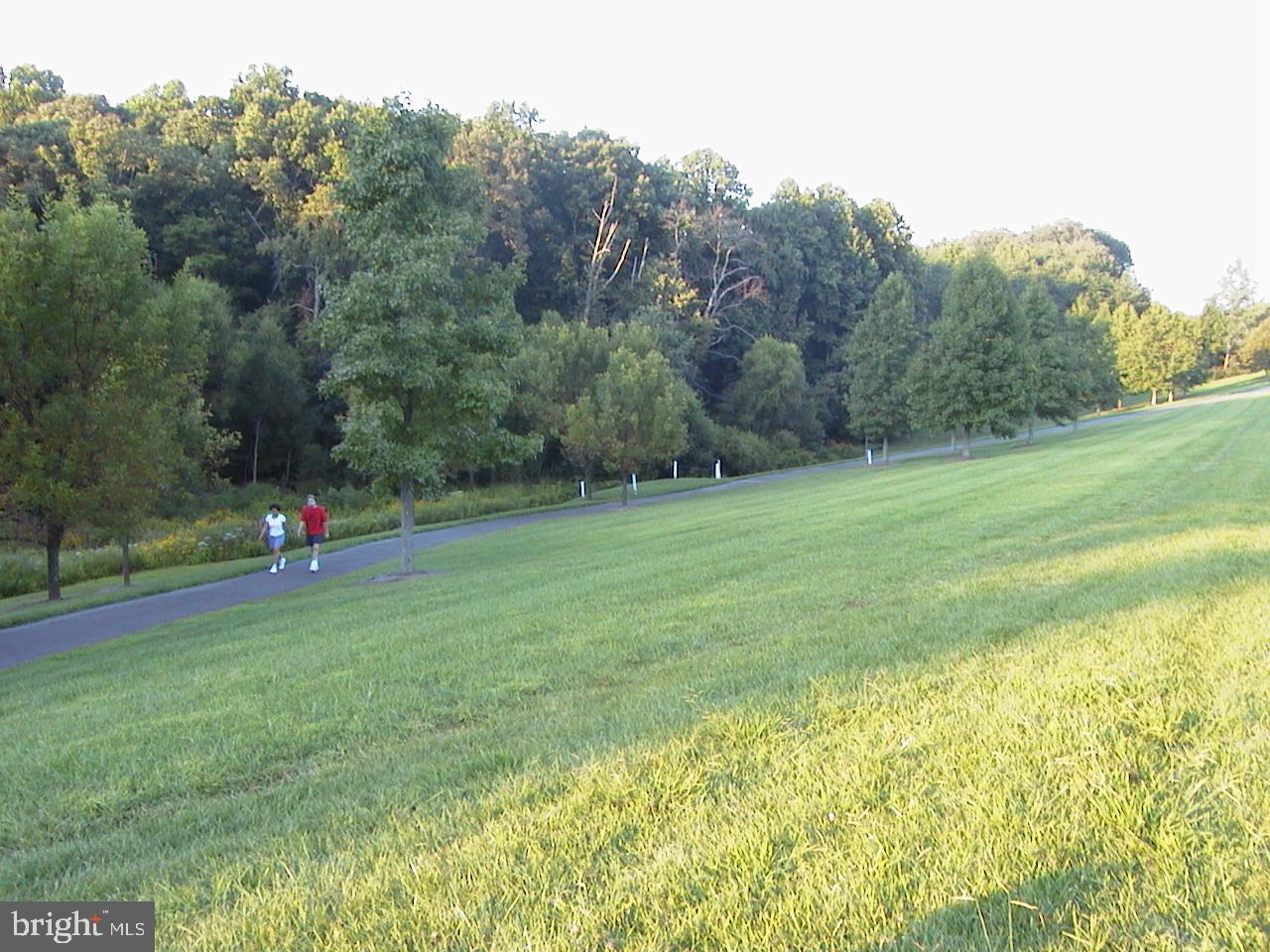 6012 Masondale Road Alexandria, VA 22315 - Photo 52 of 66