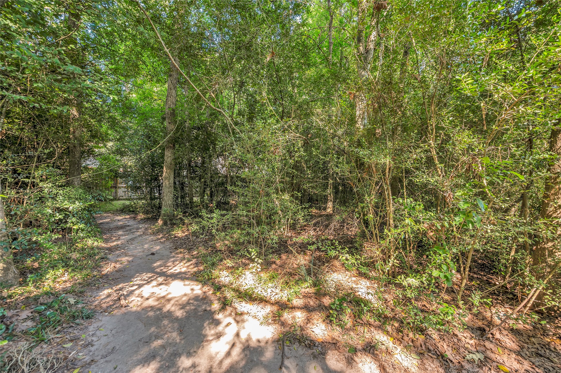 17903 Fireside Drive Spring, TX 77379 - Photo 31 of 33 a view of a yard with a tree