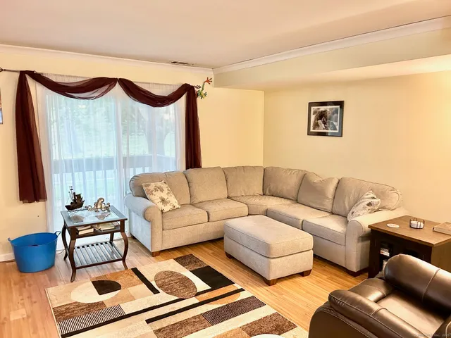 a living room with furniture and a rug