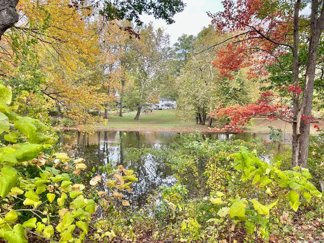 a view of a lake with a tree
