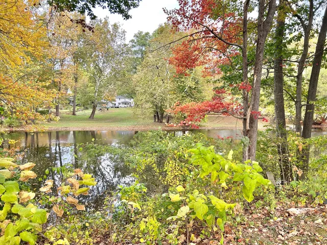 a view of yard with swimming pool and green space