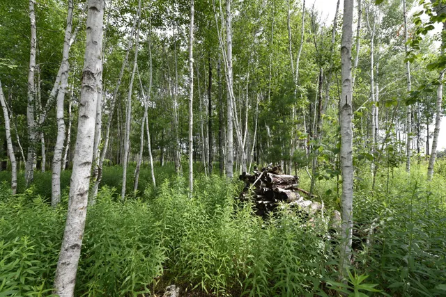 $500,000 | 18625 Skunk Lake Road, Sandstone, MN 55072