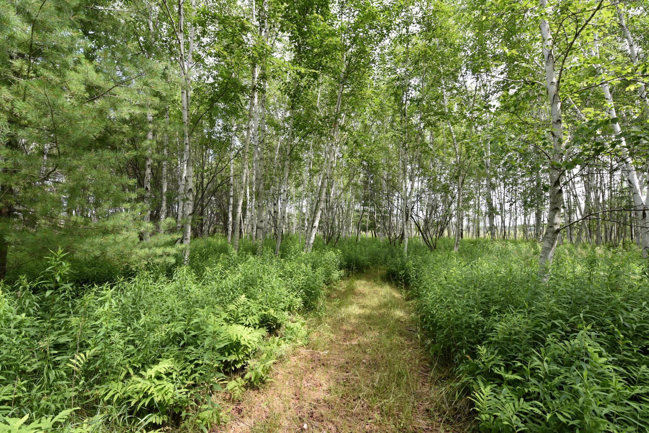 18625 Skunk Lake Road Sandstone, MN 55072 - Photo 34 of 40