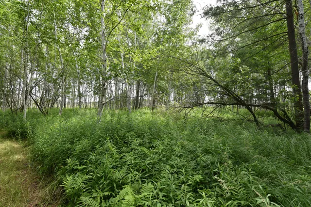 $500,000 | 18625 Skunk Lake Road, Sandstone, MN 55072