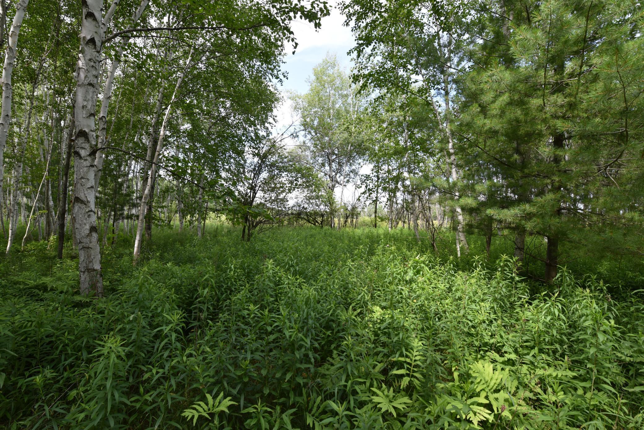 18625 Skunk Lake Road Sandstone, MN 55072 - Photo 36 of 40