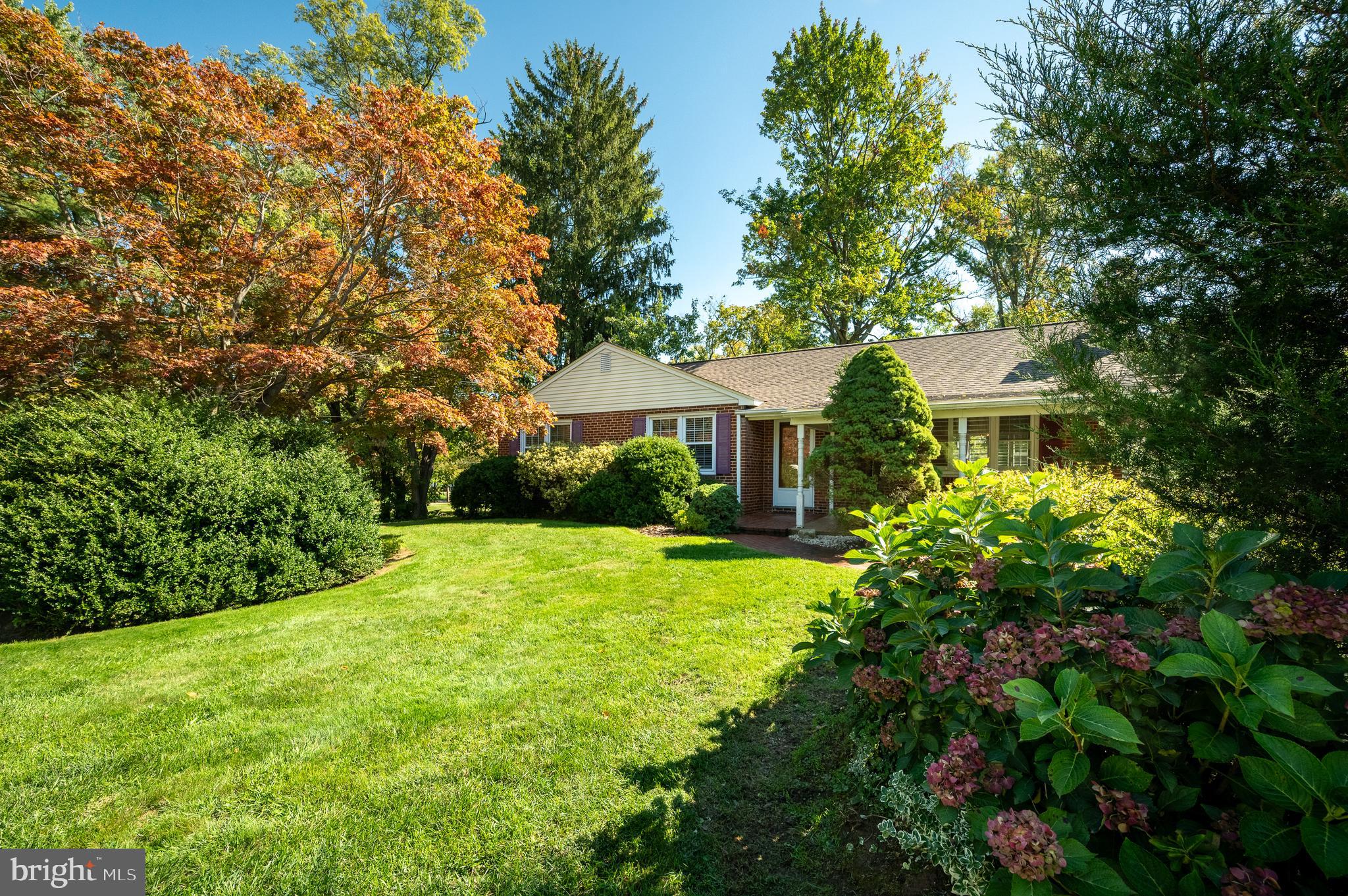 a front view of a house with yard and green space
