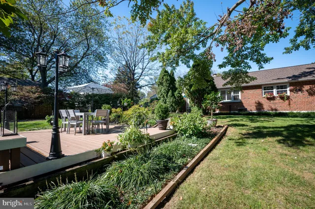 a view of a backyard with a garden and plants
