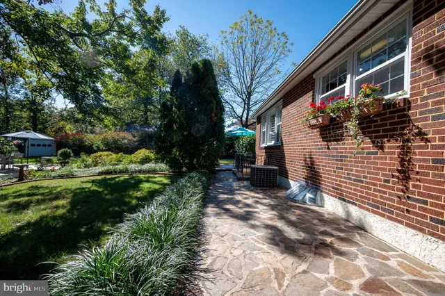 a view of a park with large trees