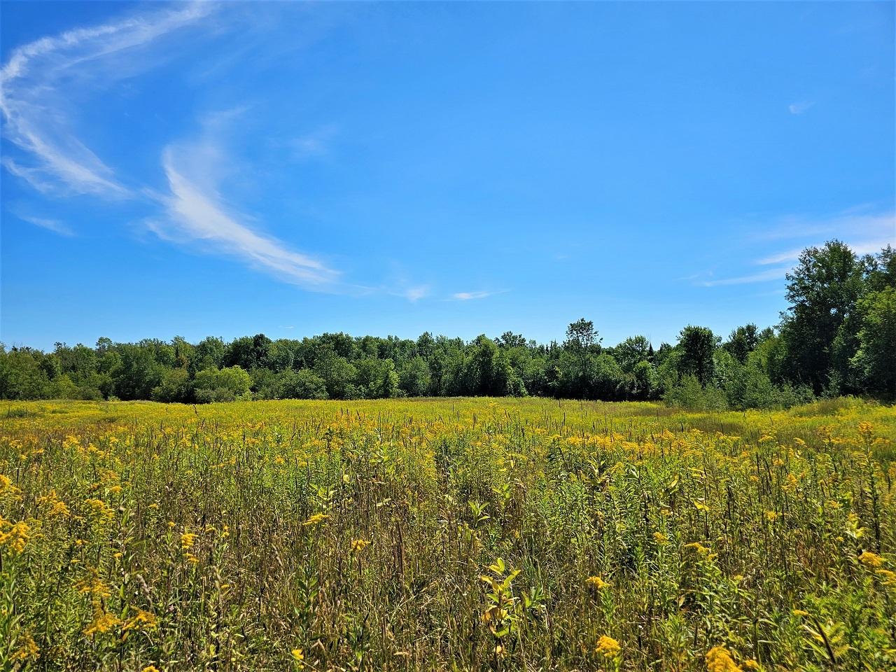 7009 Dahlbecka Road Hurley, WI 54534 - Photo 9 of 12 Gallery Image 9