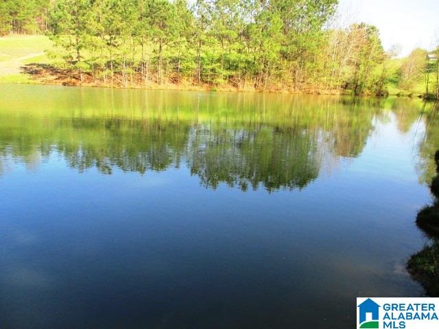 6971 Highway 24 Oneonta, AL 35121 - Photo 38 of 45