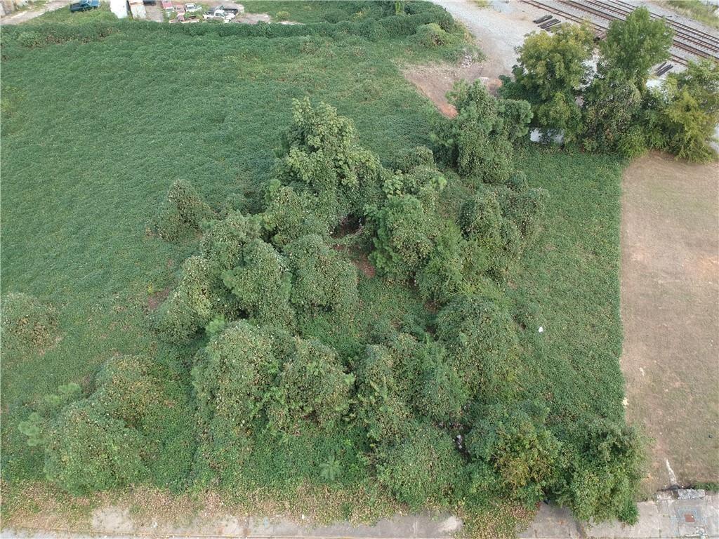 451 Stephens Street Southwest Atlanta, GA 30310 - Photo 4 of 6 a view of a lush green forest with lots of trees