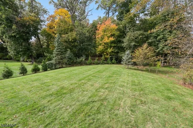 a view of yard with green space