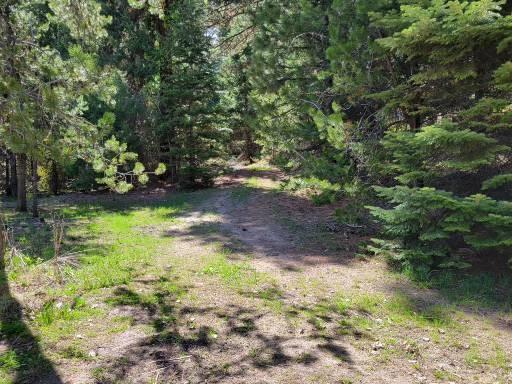 10125 Round Valley Road Cascade, ID 83611 - Photo 17 of 23 Trail to adjacent State Land