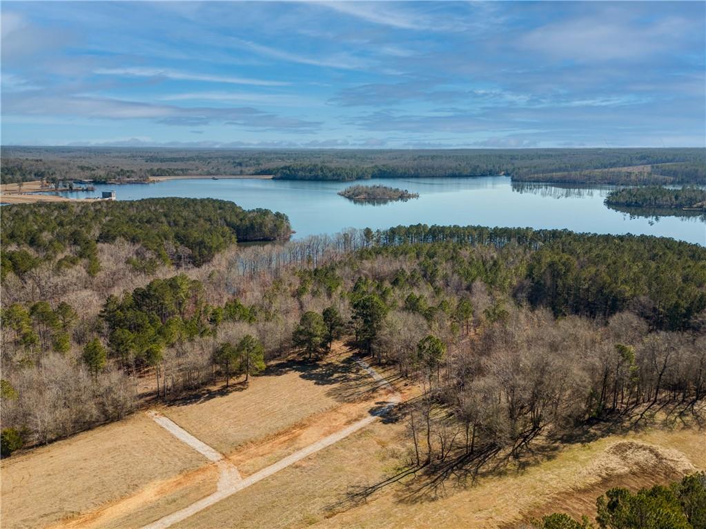 691 Moccasin Gap Road Jackson, GA 30233 - Photo 4 of 9 a view of a yard with wooden floor and lake view