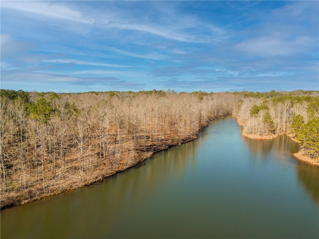 691 Moccasin Gap Road Jackson, GA 30233 - Photo 6 of 9 a view of an ocean from a balcony