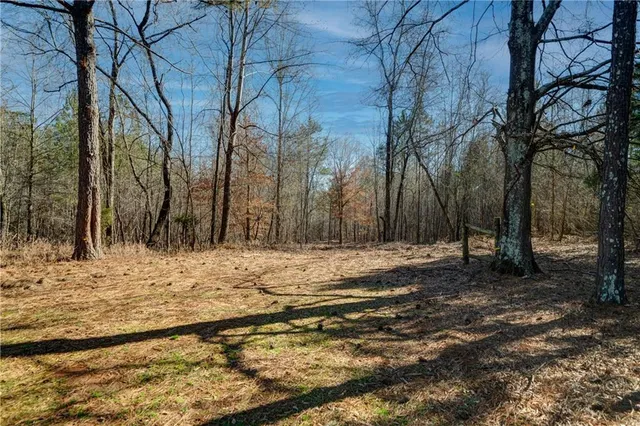 a house with trees in front of it