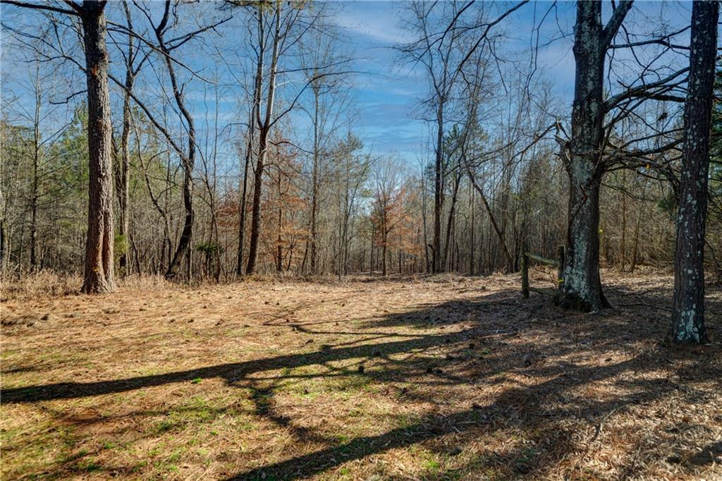 691 Moccasin Gap Road Jackson, GA 30233 - Photo 7 of 9 a view of dirt yard with a large tree