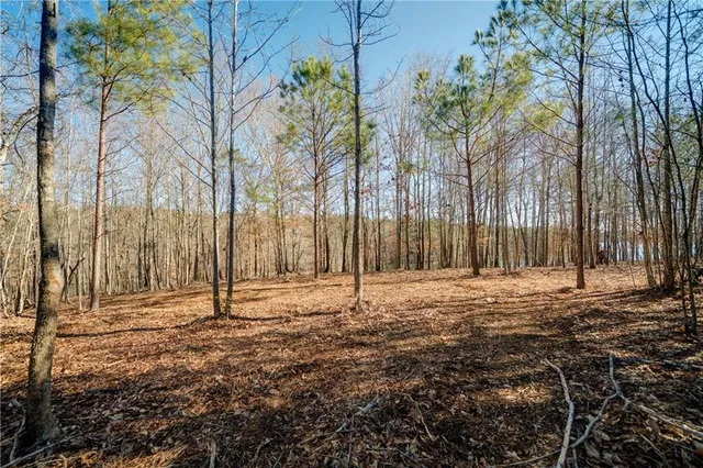 a view of a backyard of the house