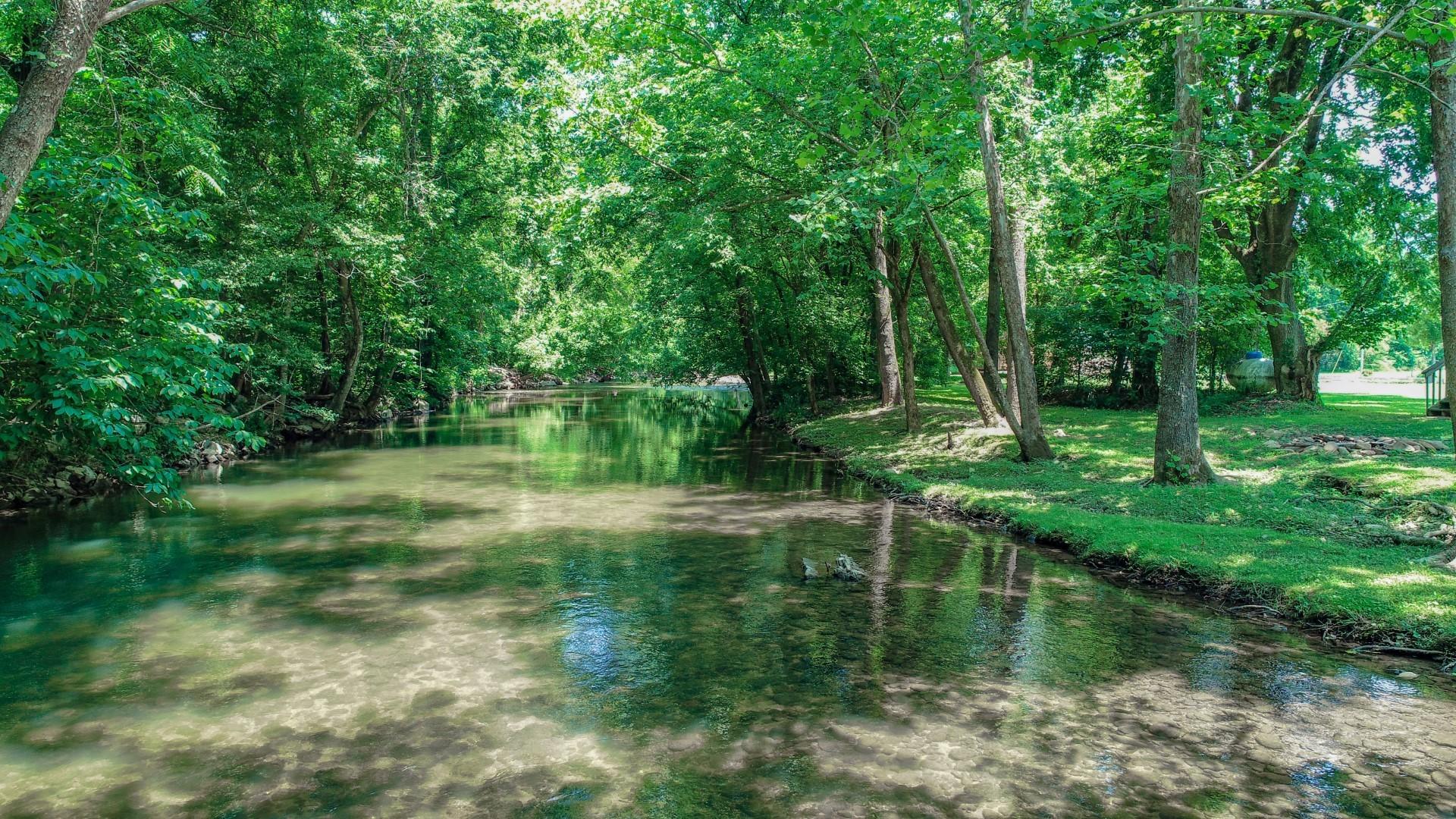 170 Wilton Springs Road Newport, TN 37821 - Photo 11 of 40 9.3
