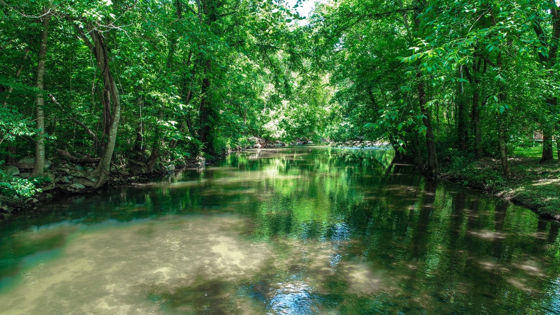 170 Wilton Springs Road Newport, TN 37821 - Photo 12 of 40 9.4