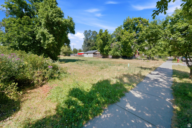 300 East S, Unit 2 Logan, UT 84321 - Photo 11 of 38 Expansive undeveloped lot featuring mature trees and a paved sidewalk