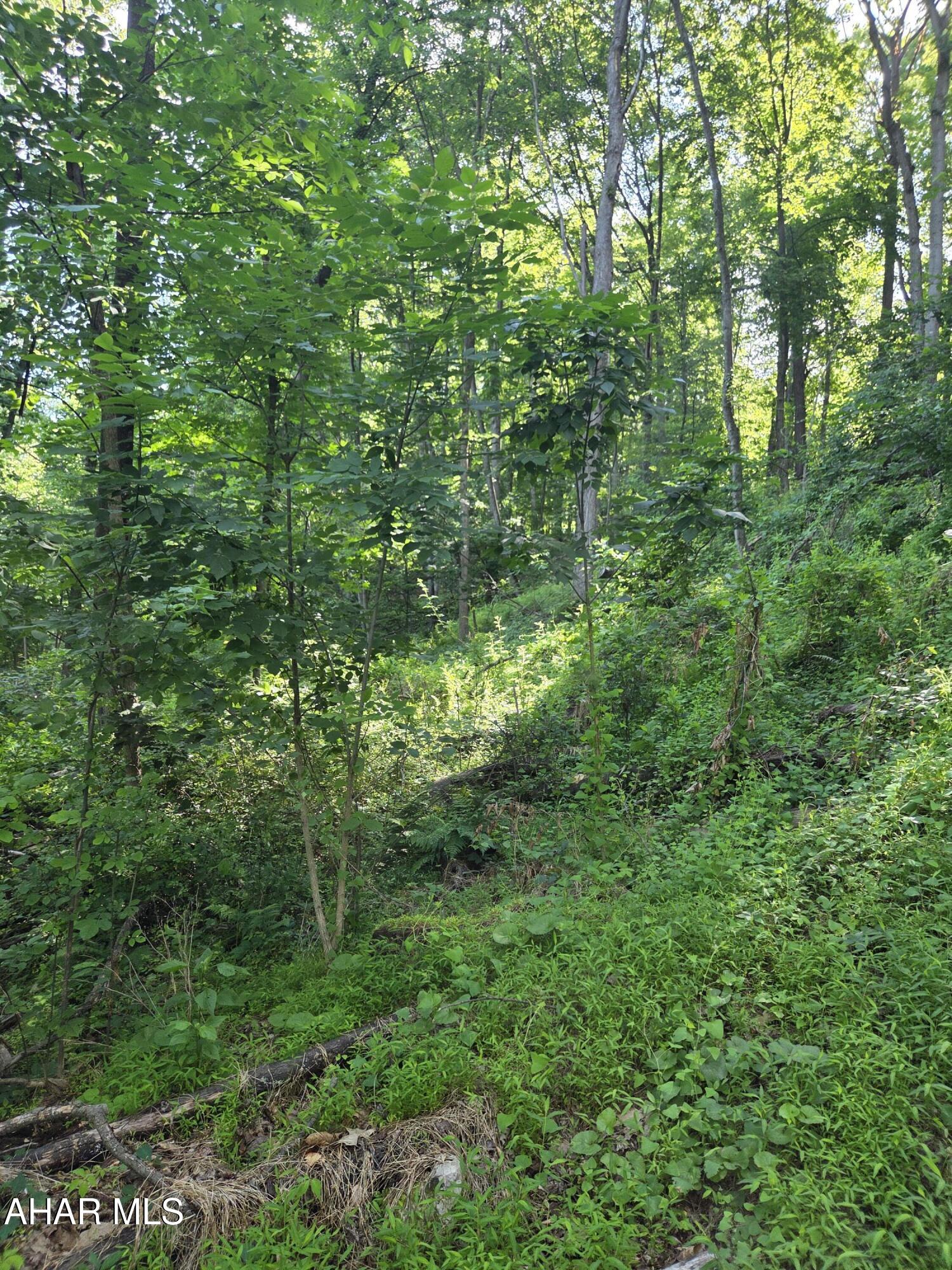 0 Sugar Ridge Road McVeytown, PA 17051 - Photo 18 of 19