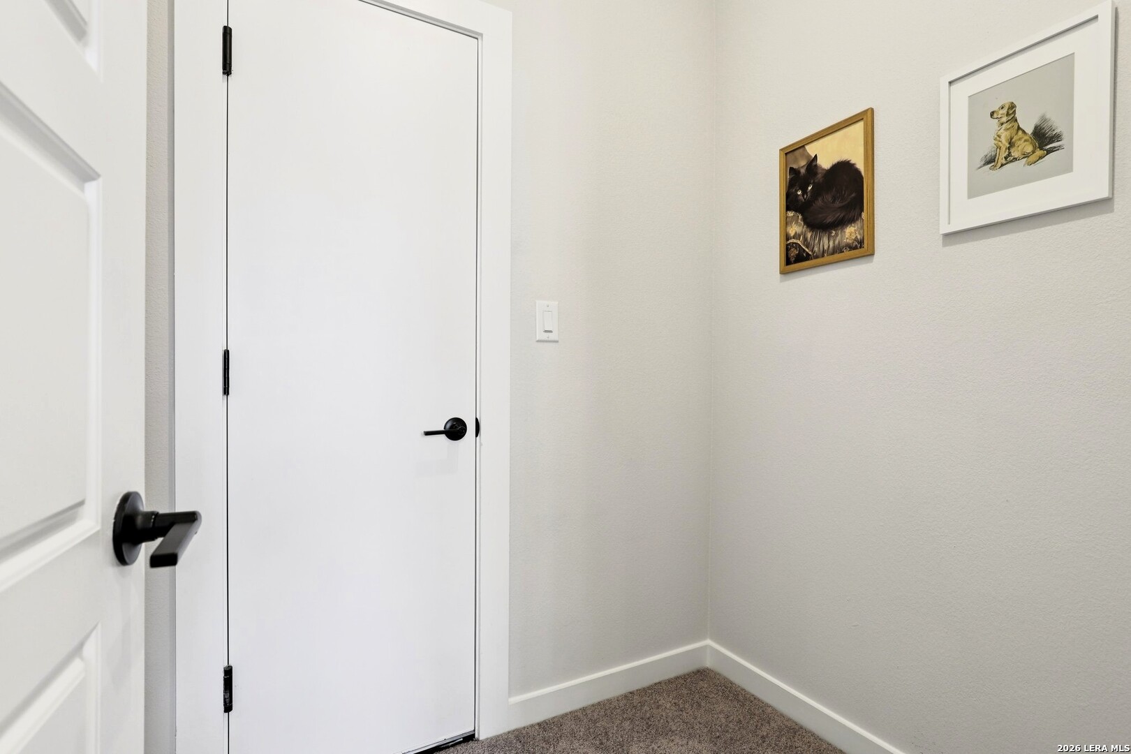 1538 Escarpment Road New Braunfels, TX 78132 - Photo 35 of 68