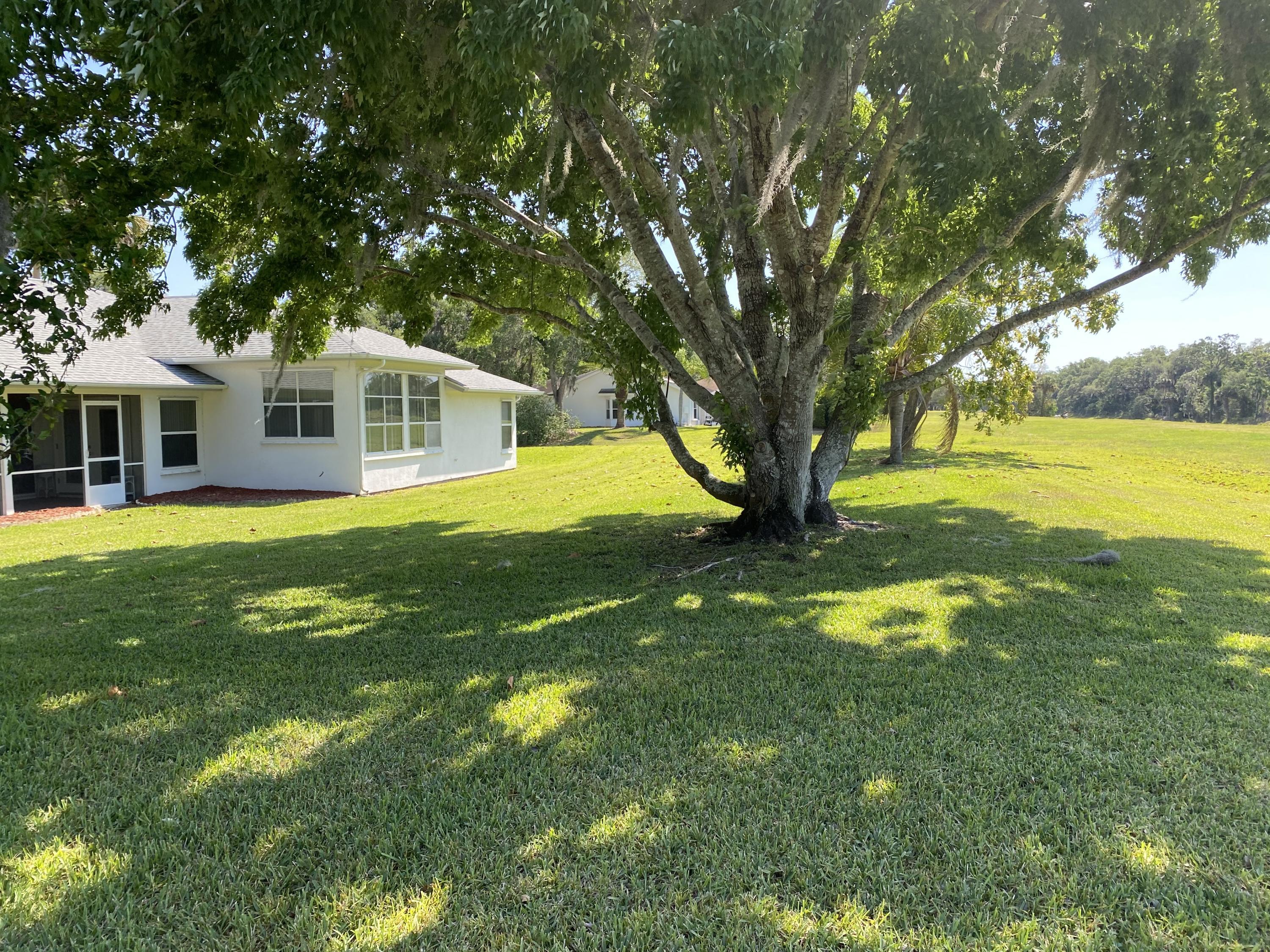 1210 Meadowbrook Road Northeast Palm Bay, FL 32905 - Photo 7 of 36 Back yard