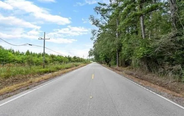 $15,900 | 35220 La Highway, Holden, LA 70744