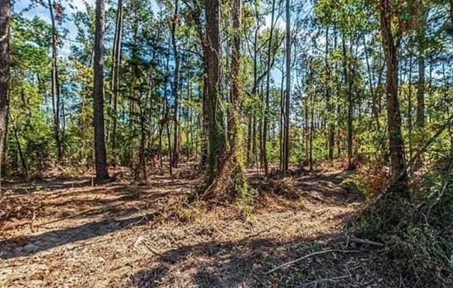 $15,900 | 35220 La Highway, Holden, LA 70744