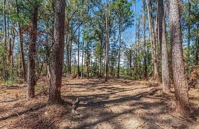 $15,900 | 35220 La Highway, Holden, LA 70744