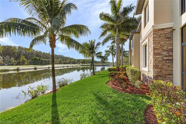 a view of a lake with a big yard and palm trees