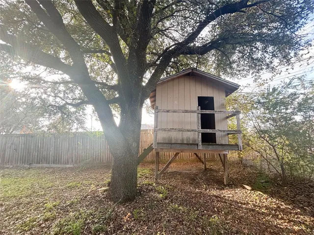 a tall tree in middle of the forest