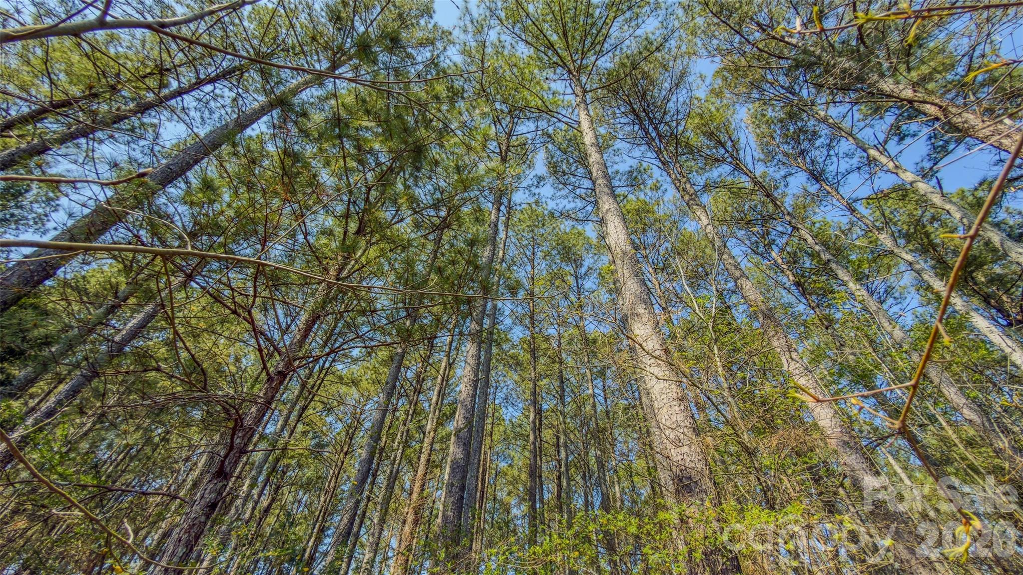 17643 Efird Road Albemarle, NC 28001 - Photo 16 of 47