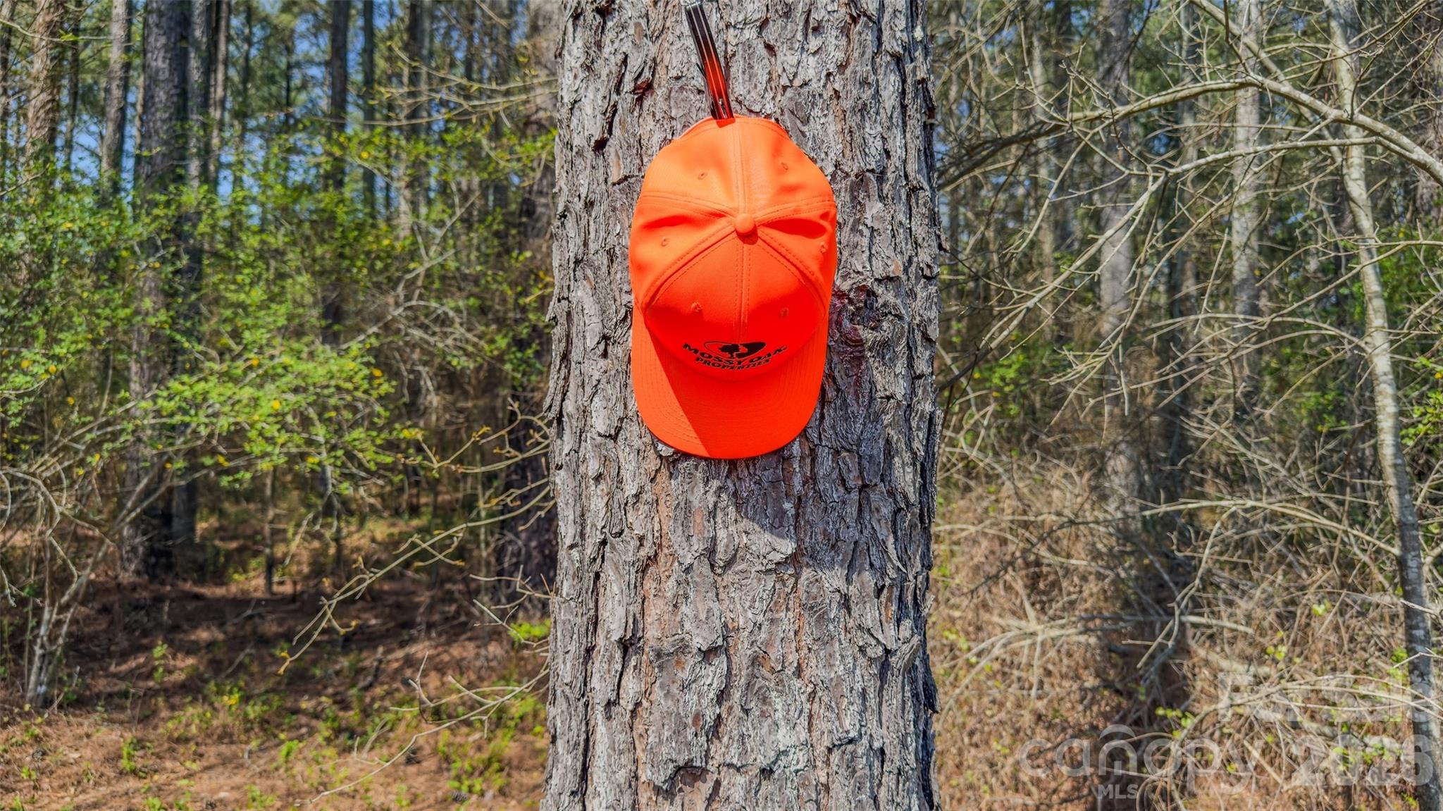 17643 Efird Road Albemarle, NC 28001 - Photo 17 of 47