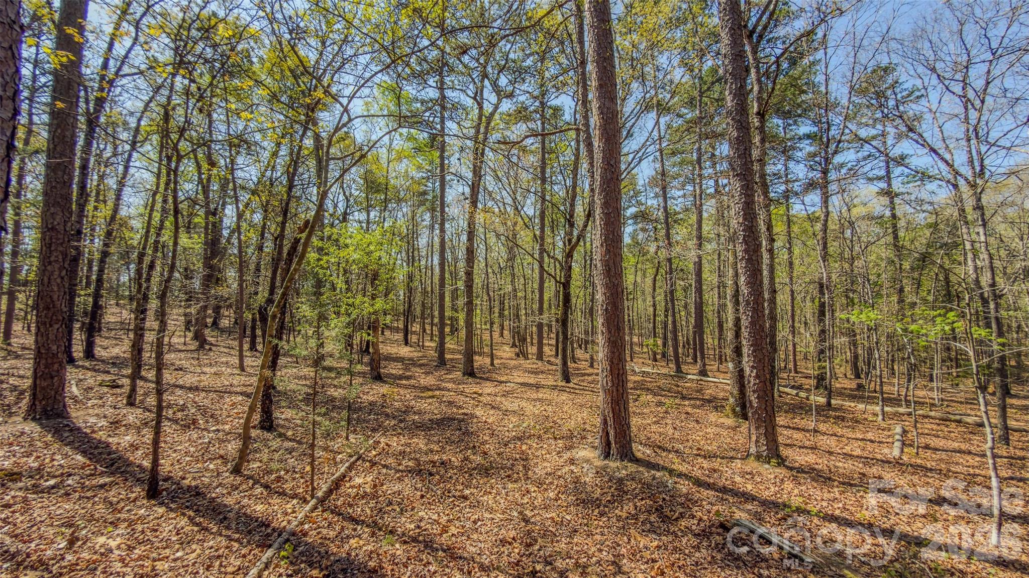 17643 Efird Road Albemarle, NC 28001 - Photo 18 of 47