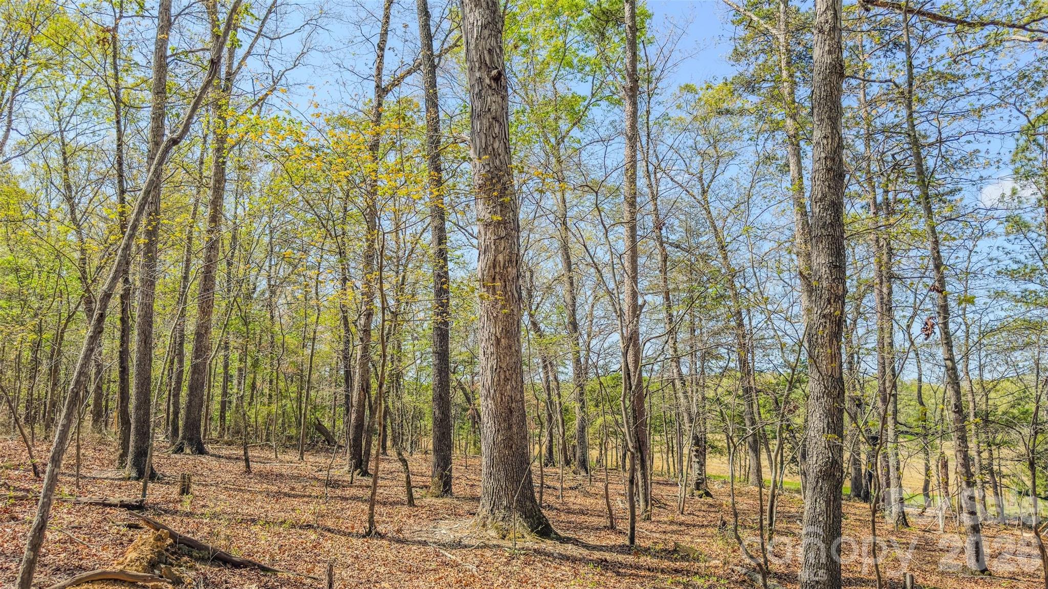 17643 Efird Road Albemarle, NC 28001 - Photo 20 of 47