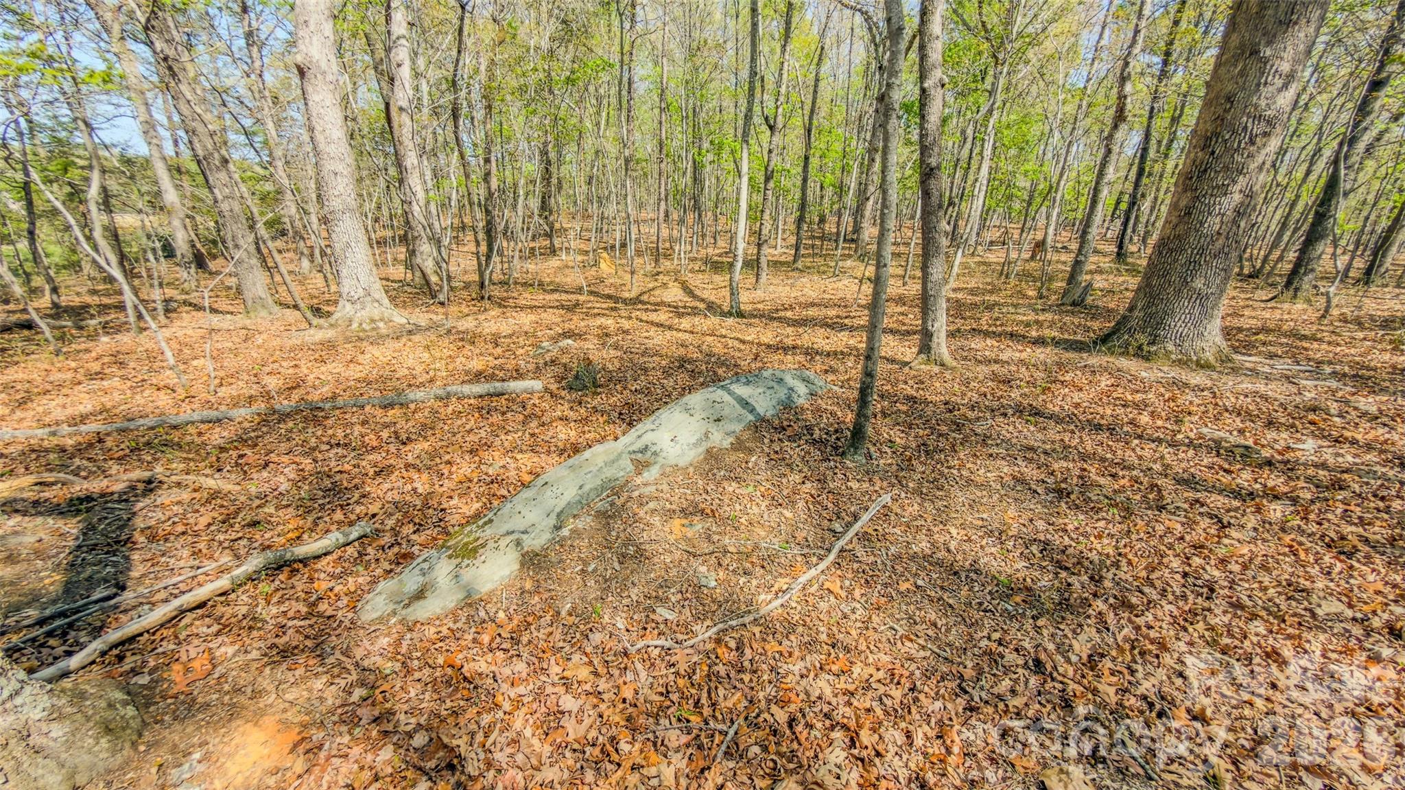 17643 Efird Road Albemarle, NC 28001 - Photo 21 of 47