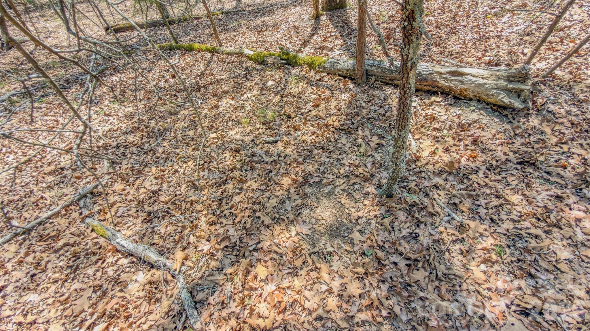 17643 Efird Road Albemarle, NC 28001 - Photo 23 of 47