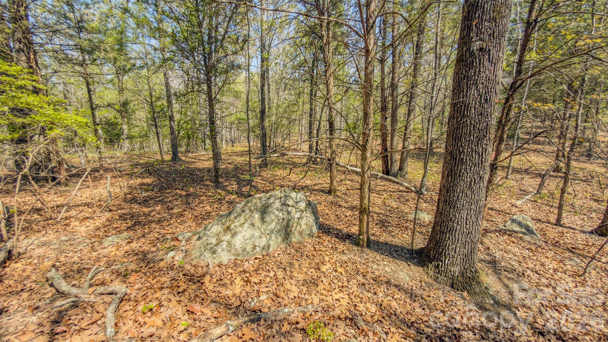 17643 Efird Road Albemarle, NC 28001 - Photo 24 of 47