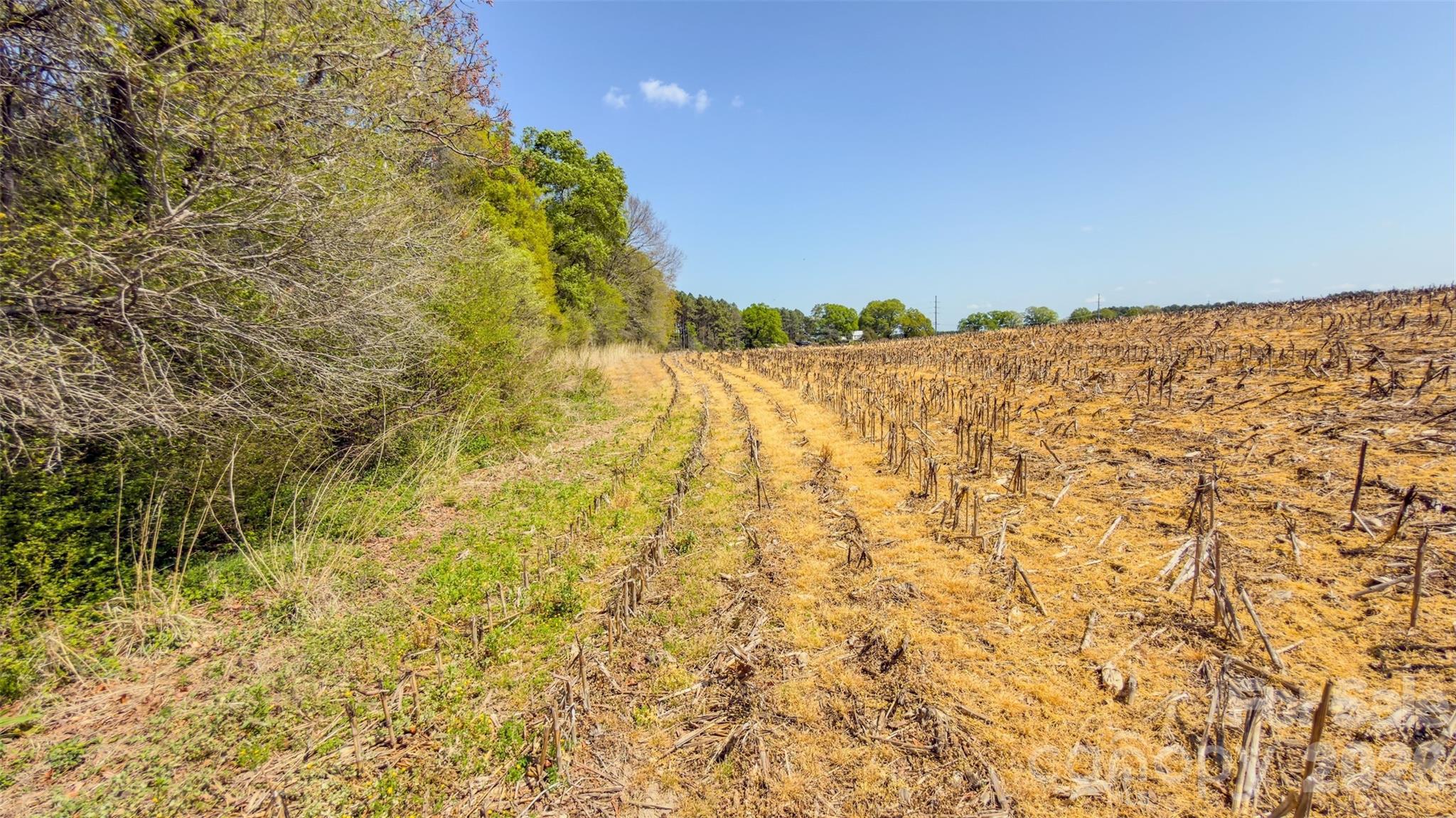 17643 Efird Road Albemarle, NC 28001 - Photo 25 of 47