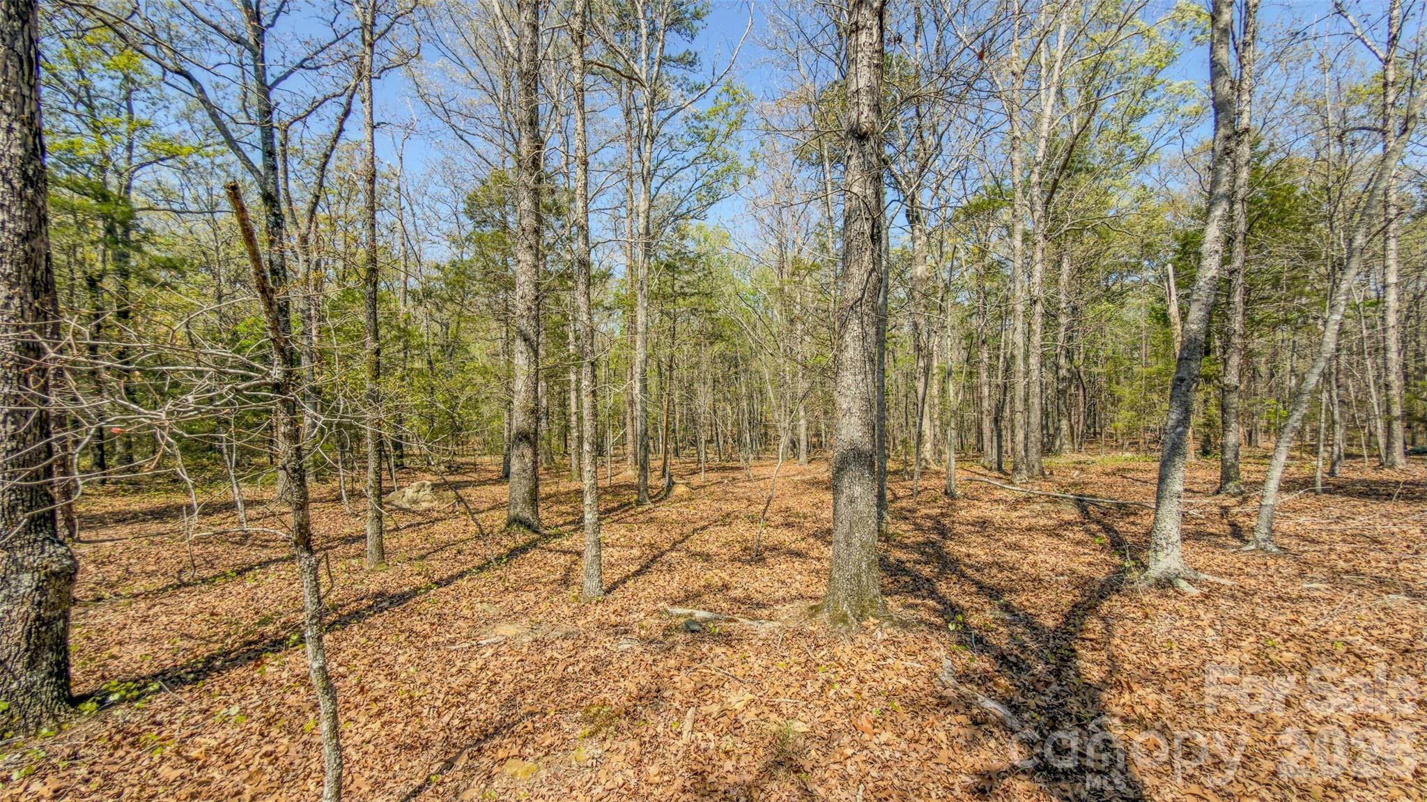 17643 Efird Road Albemarle, NC 28001 - Photo 26 of 47