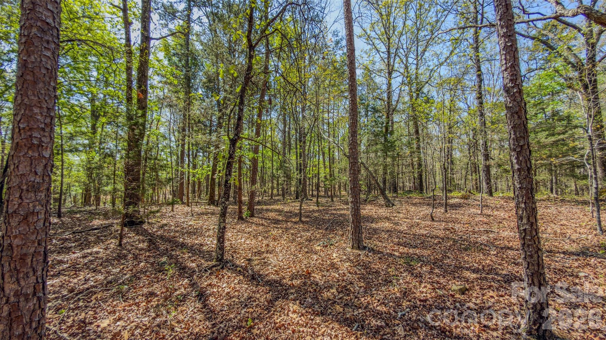 17643 Efird Road Albemarle, NC 28001 - Photo 27 of 47