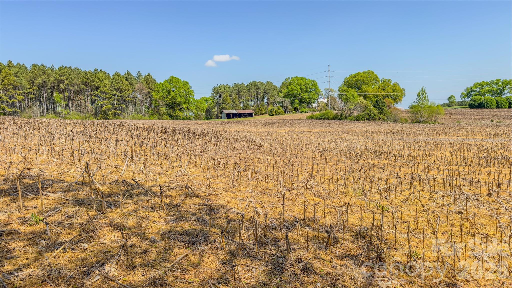 17643 Efird Road Albemarle, NC 28001 - Photo 29 of 47