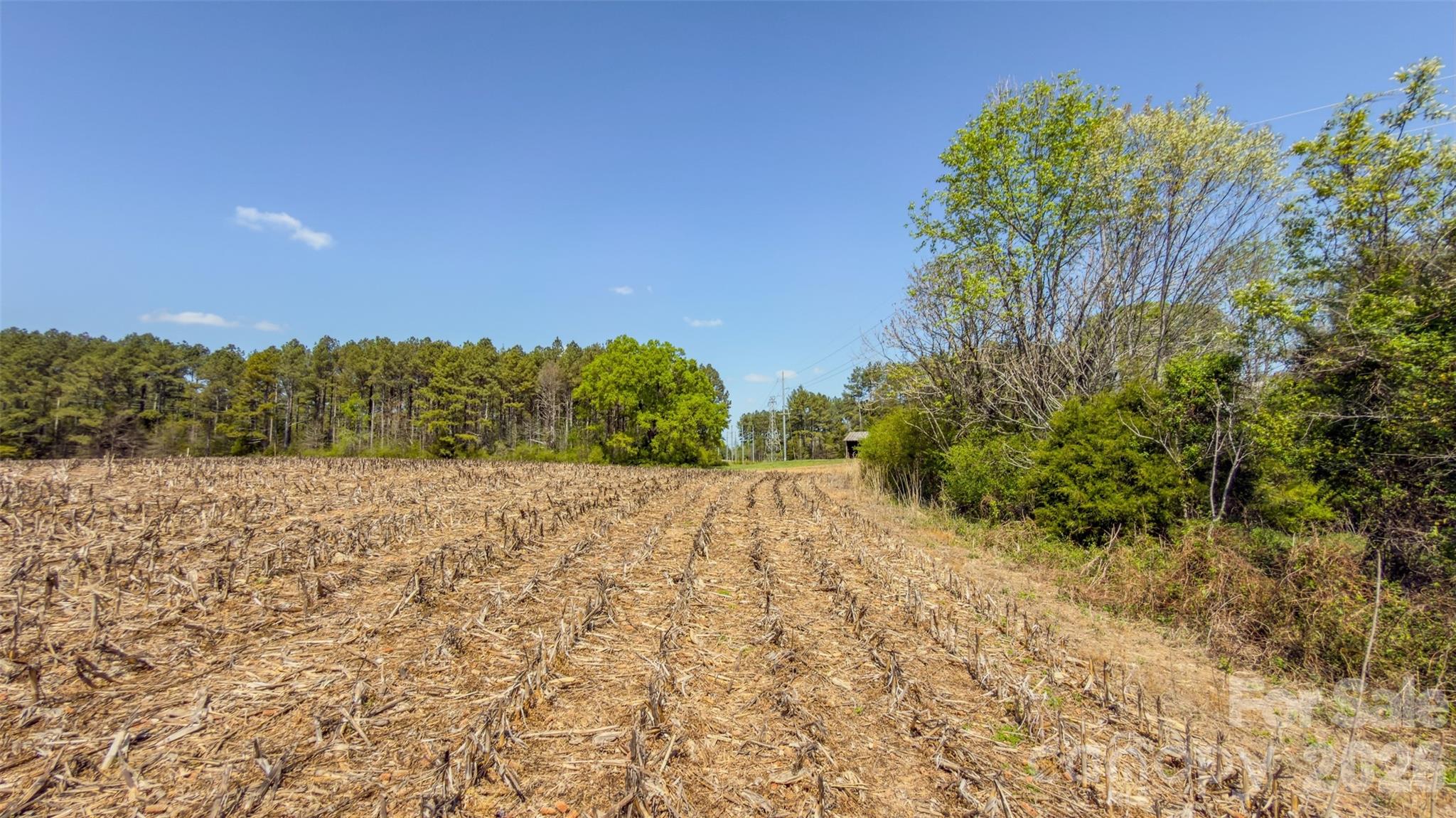 17643 Efird Road Albemarle, NC 28001 - Photo 35 of 47