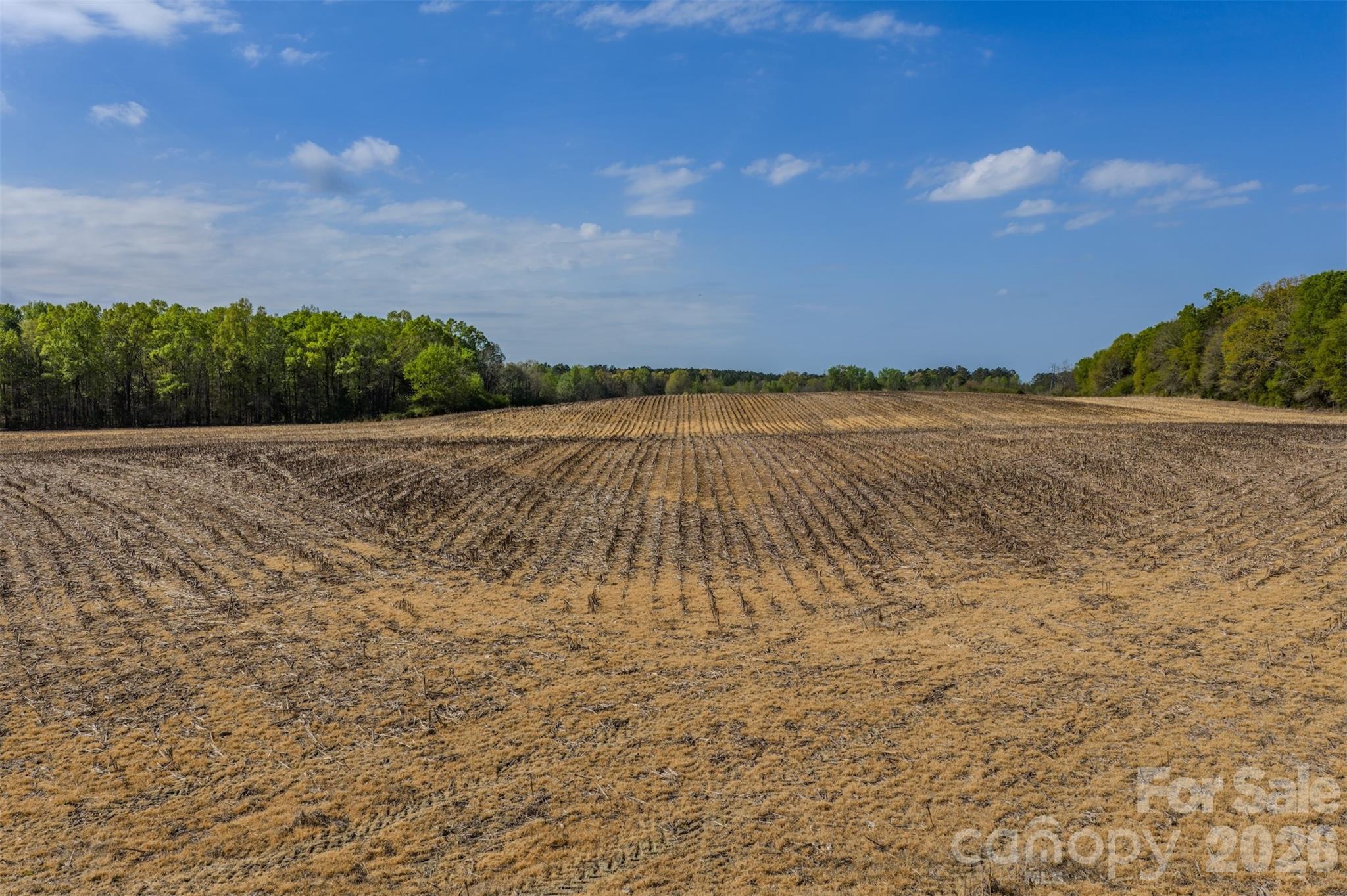 17643 Efird Road Albemarle, NC 28001 - Photo 4 of 47